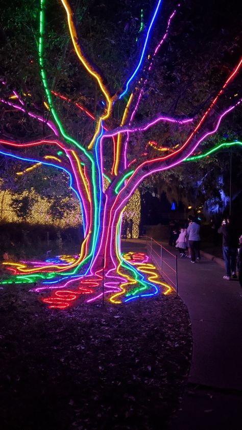 Christmas Light Installation