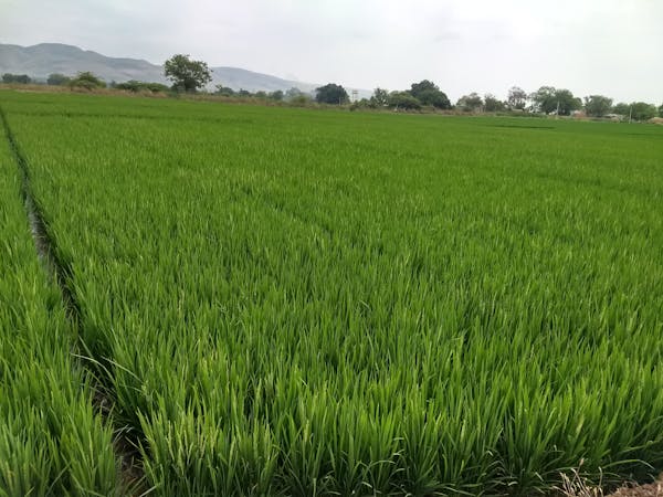 Woman stretching by window